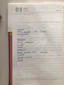 Una foto de mi agenda en un día no muy copado (Ten en cuenta que la subí hace unos días, así que para el 03/04 ya habrá muchas cosas más para encajar en la lista 😂)